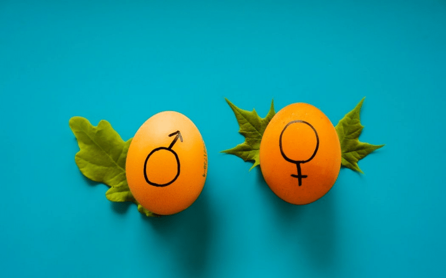 Sex Reassignment Surgery In Chandigarh | Gender Change